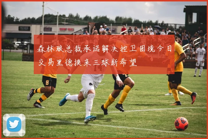 森林狼总裁承诺解决控卫困境今日交易里德换来三球新希望