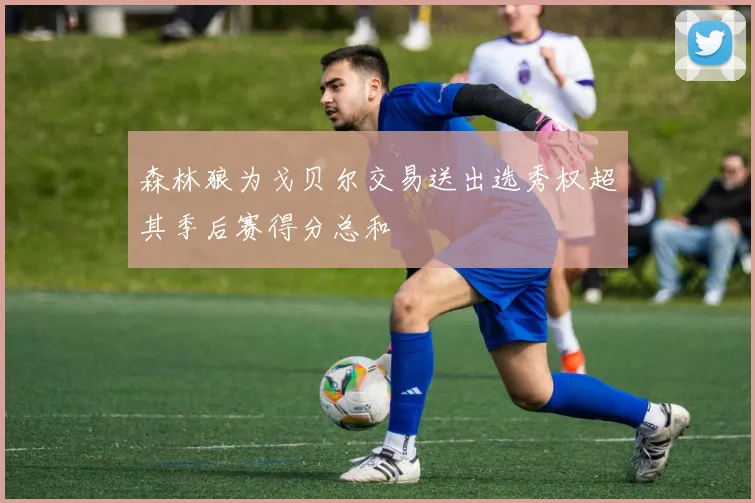 森林狼为戈贝尔交易送出选秀权超其季后赛得分总和